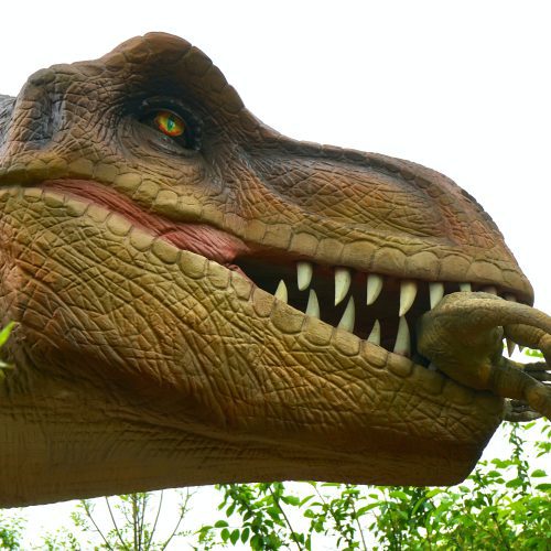 Park Dinozaurów Grudziądz – odkryj fascynujący świat prehistorycznych stworzeń